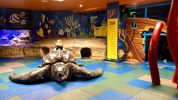 Leatherback turtle at SEA LIFE Kelly Tarlton's