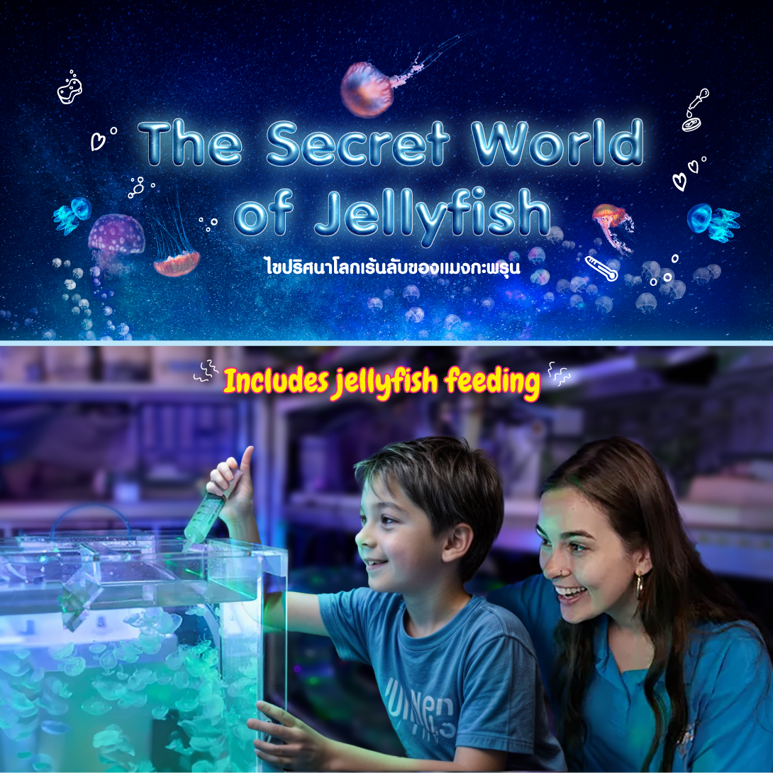 The Secret World 2 Website