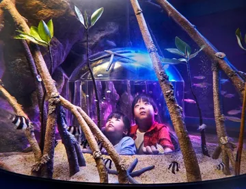 3 kids looking at sea creatures in Sea Life Bangkok Ocean World's rockpool
