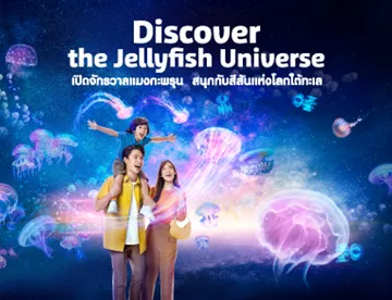 Jelly Website