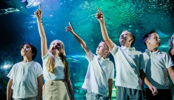 Children On A School Trip