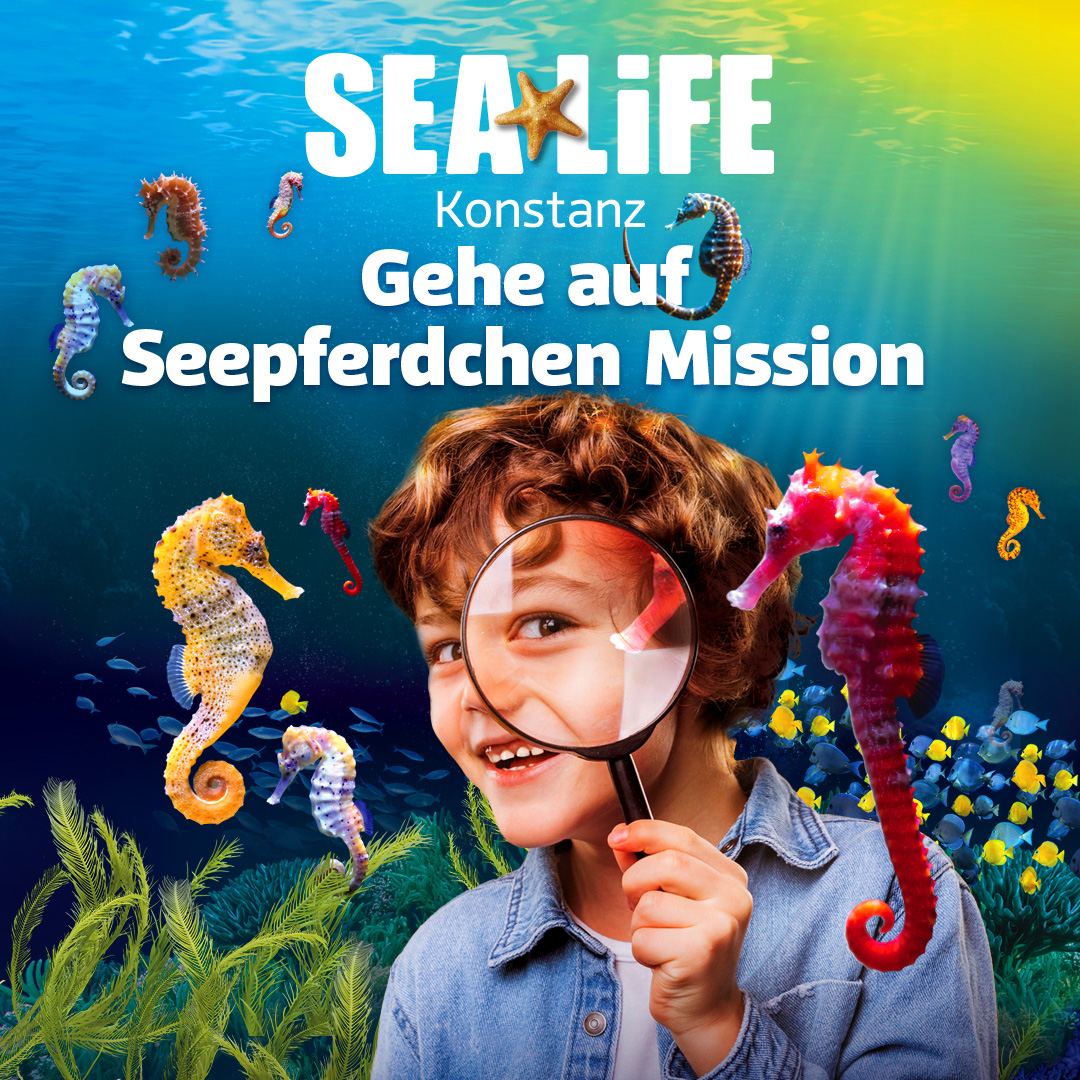 Deine Seepferdchen Mission: Lerne wissenswerte und spannende Faktoren über die Seepferdchen im SEA LIFE Konstanz