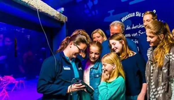 Even group visits and guided tours in SEA LIFE are possible