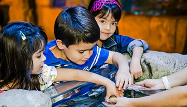 SEA LIFE Kindergarten