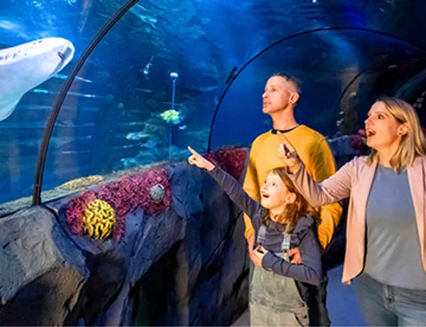 SEA LIFE Konstanz 2025 Eintritt 360X276
