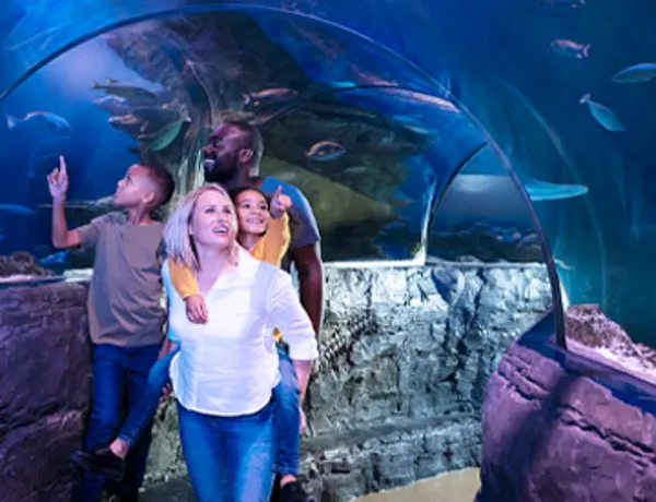 SEA LIFE Familienticket 360X276