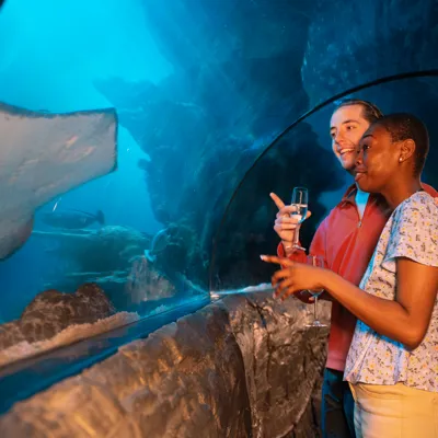 Sealife VIP Experience 9