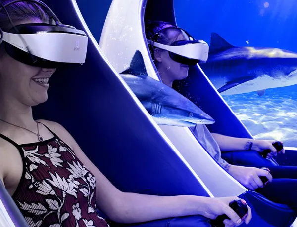Standard ticket + VR experience