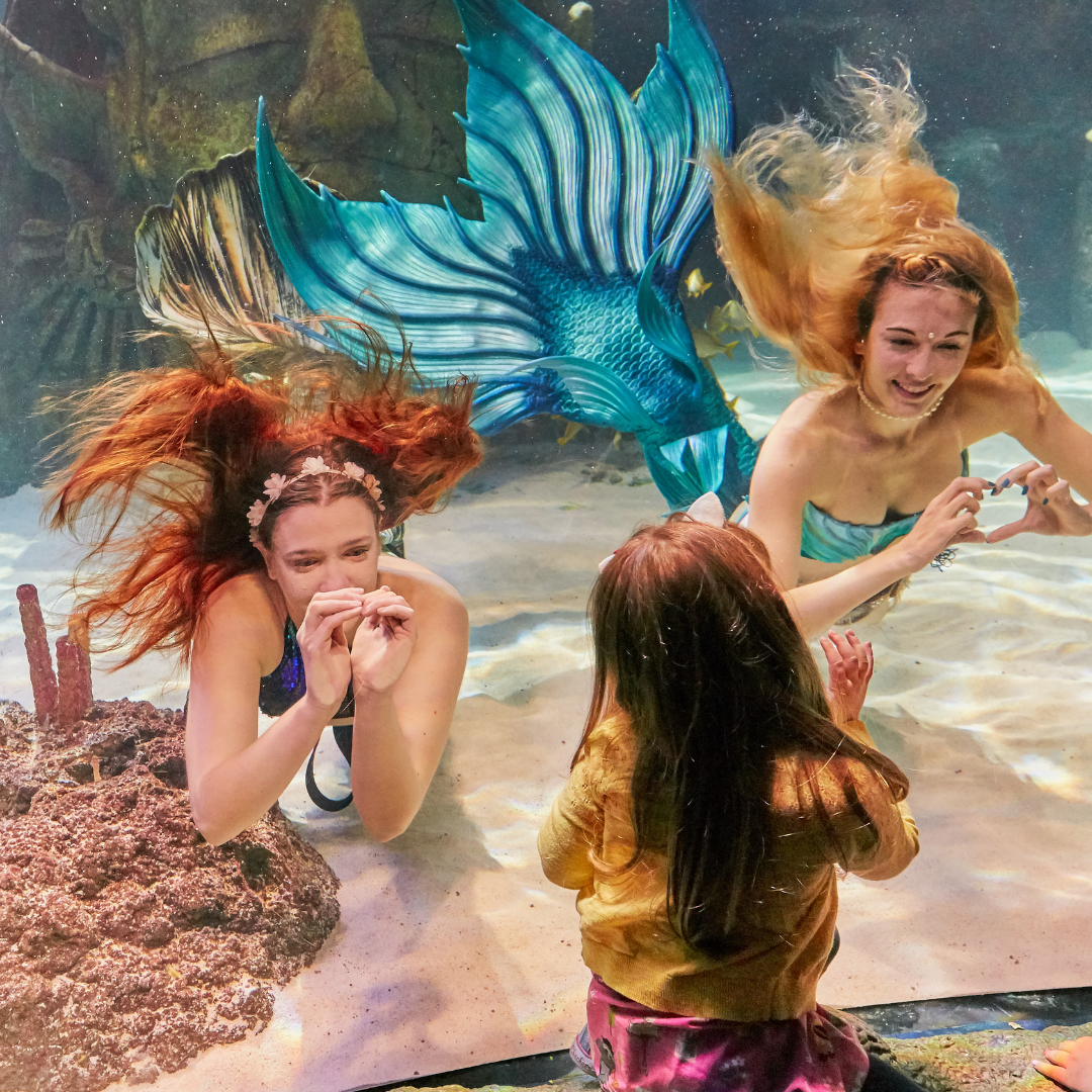 Mermaids with guest at SEA LIFE Manchester