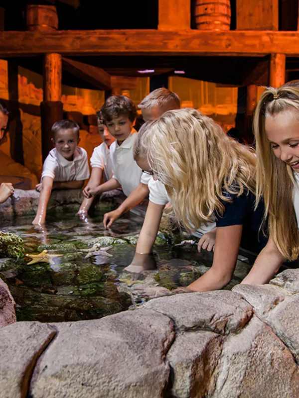 SEA LIFE Aquariums & Attractions Official SEA LIFE website