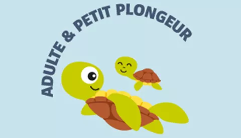 Tortue Petit Plongeur 310X187px Fond Bleu
