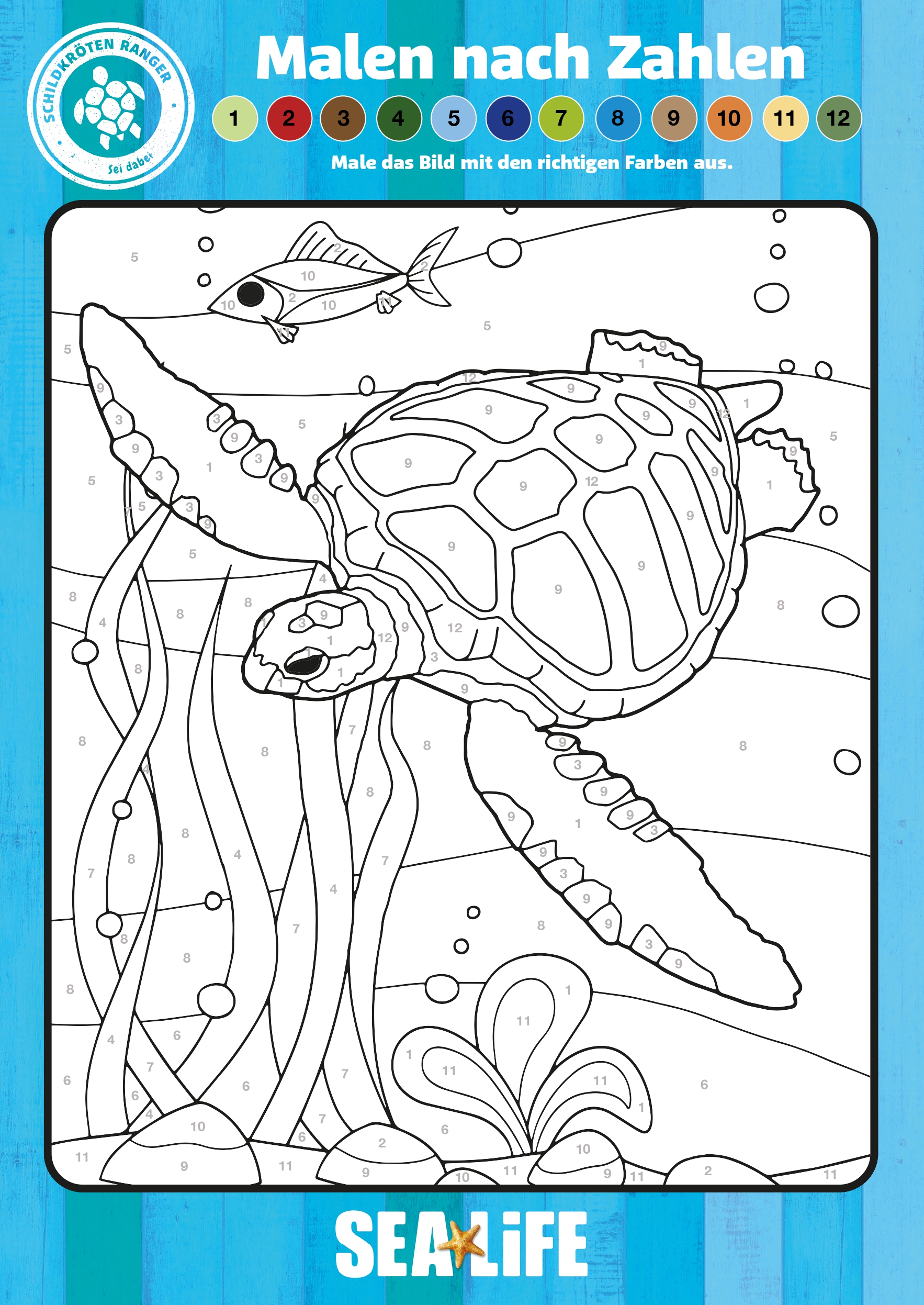 SEALIFE TURTLES DRESSING Colourbynumbers (1) Page 0001