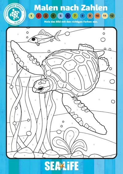 SEALIFE TURTLES DRESSING Colourbynumbers (1) Page 0001