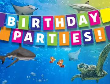 An image of a birthday parties banner with an ocean background