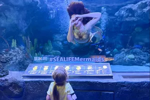 Mermaid underwater making a heart shape with her hands to a child watching in the aquarium