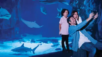 Family taking a selfie with excitement at SEA LIFE Aquarium, surrounded by marine life, including a large shark, stingray, and various fish swimming in a large, immersive tank environment with deep blue lighting.