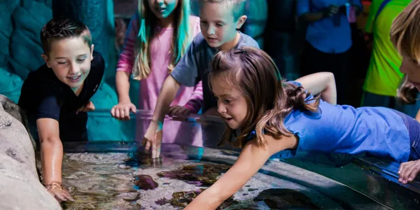 Sealife Groups Birthdays | SEA LIFE Aquarium