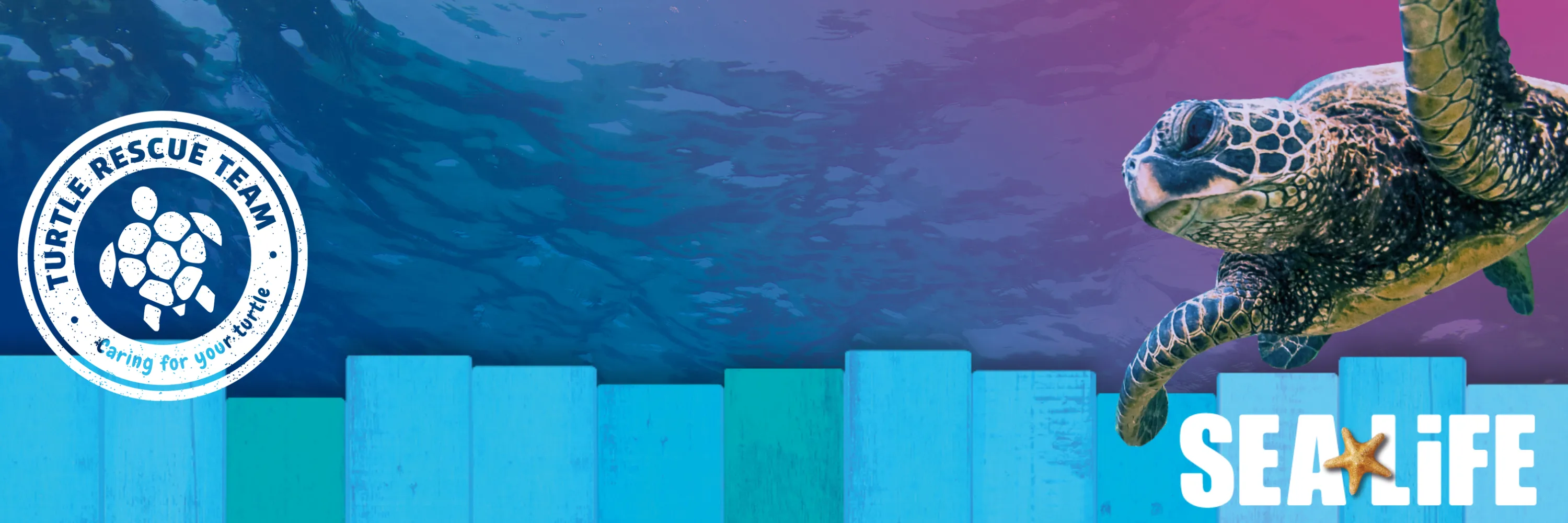 TR KV 3000X1000 (2)
