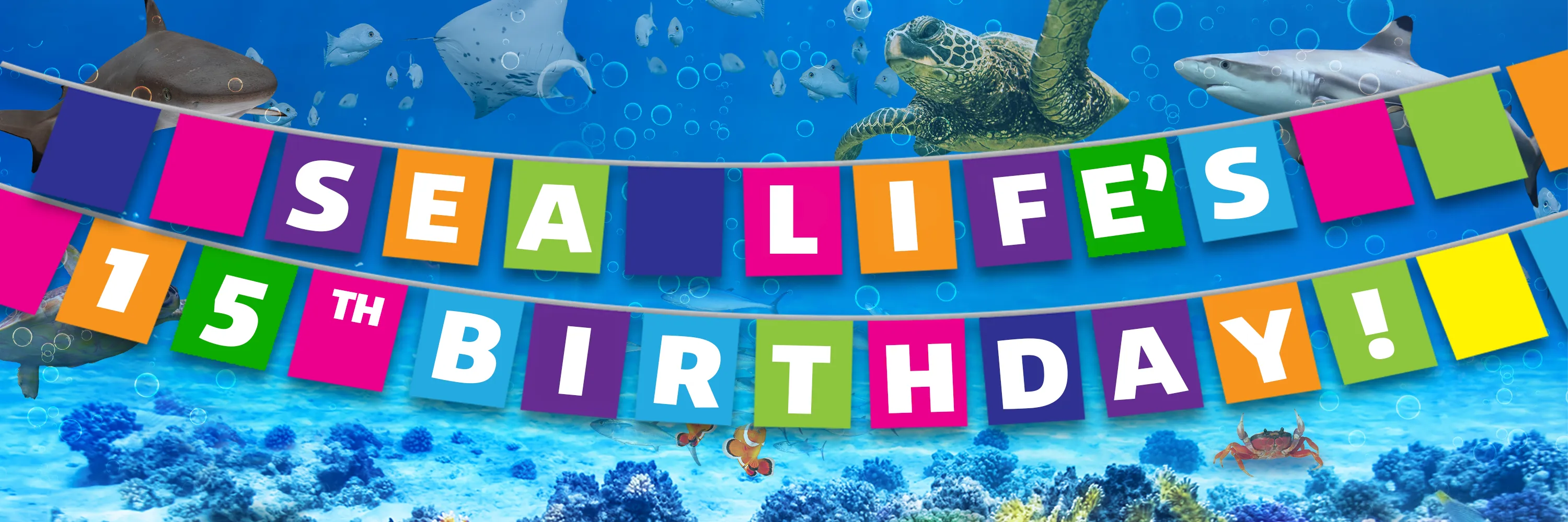 Sea Life 15Th Header