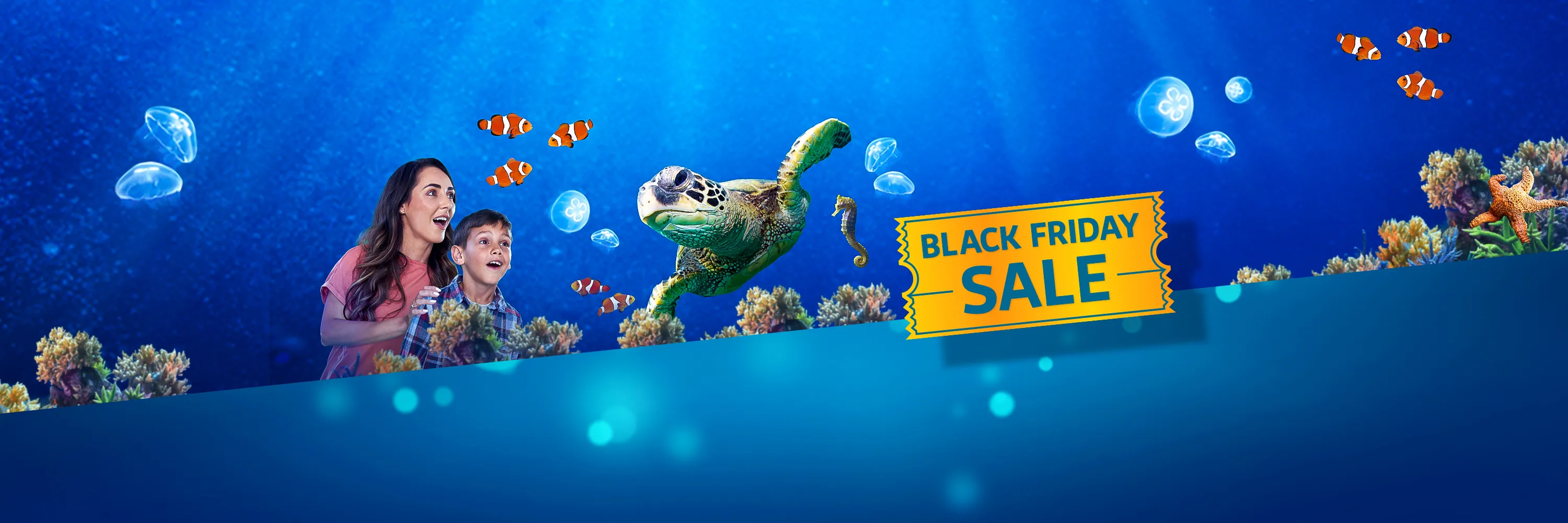 SL Digital Black Friday Sale 3000Px X 1000Px