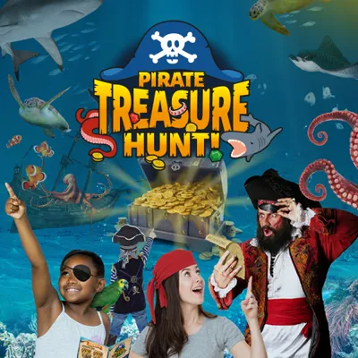 SL Arizona Pirates 600X600