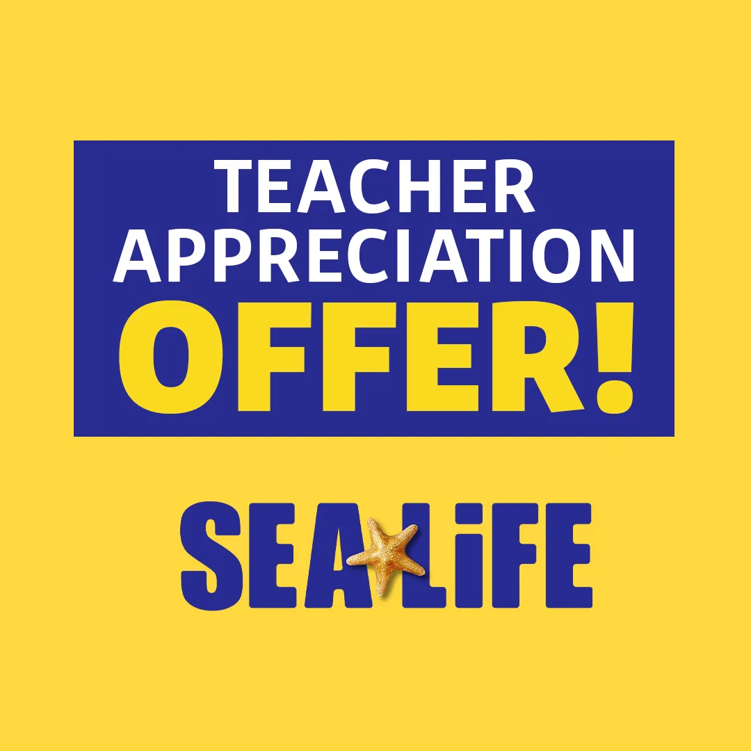SL Teacherappreciation 1080X1080 Carousel3