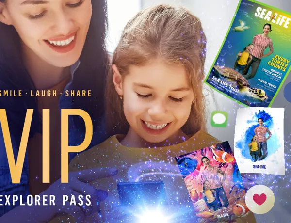 VIP Digital Photo Pass | SEA LIFE Arizona Aquarium