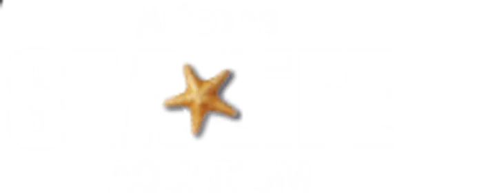 Website Logo