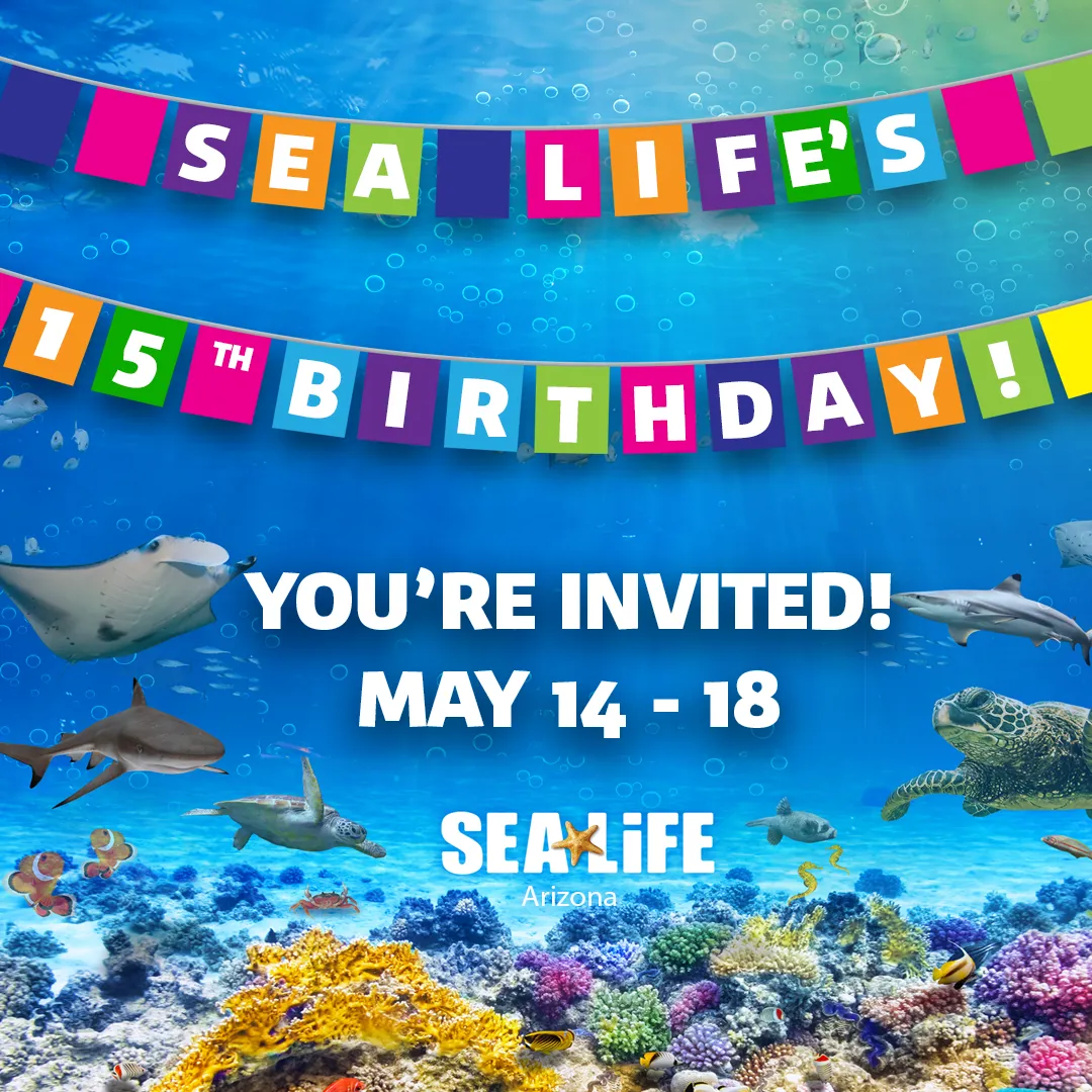 SL 15 Bday Square