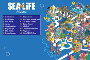 SEA LIFE Arizona 2023 Map