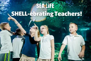 SHELL Ebrating (700 × 500Px)