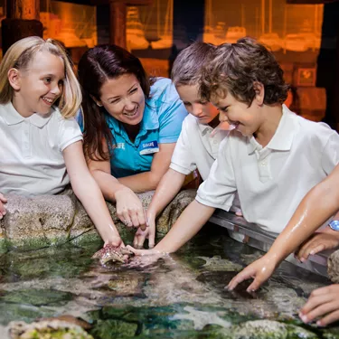 Sealife Schools Class Program | SEA LIFE Aquarium