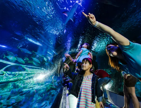 Sealife Schools Programs Educationtalks | SEA LIFE Aquarium