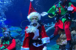 Sea Of Lights Scuba Claus