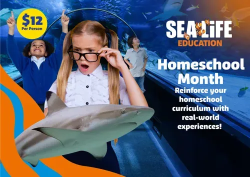 Sl Homeschool Kv For Editing