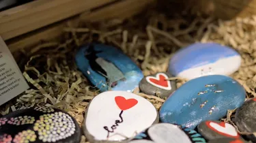 SLKTA Pebble Art 2