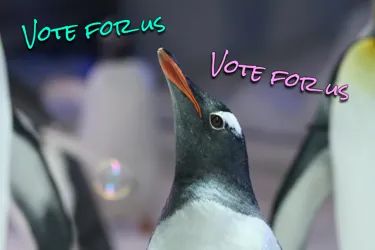 Vote For Us.JPG
