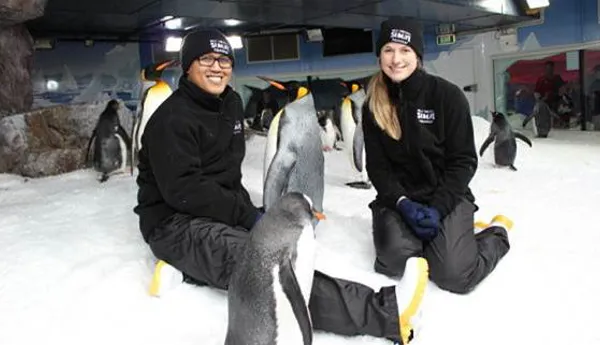 Penguin Discovery 2