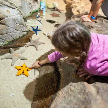 Rockpool Image Vac Care