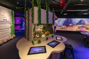 SLKT Art Aquarium Media Release Selects 1004