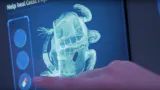 Turle Rehabilitation Experience