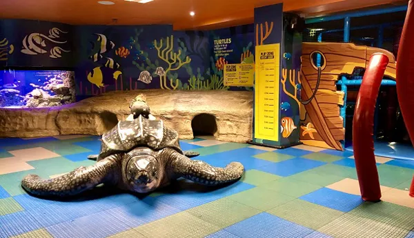Leatherback turtle at SEA LIFE Kelly Tarlton's