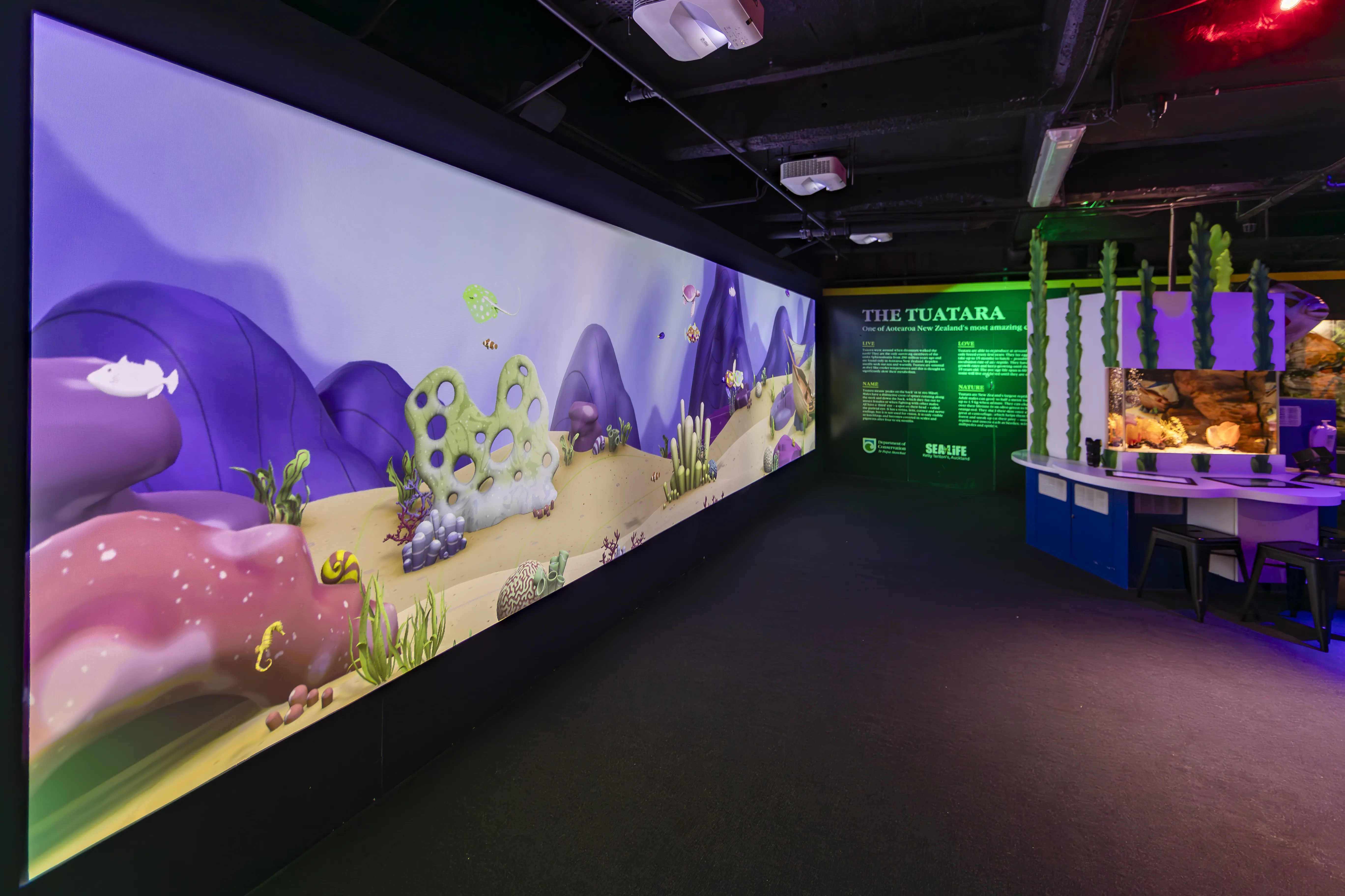 SLKT Art Aquarium Media Release Selects 1003