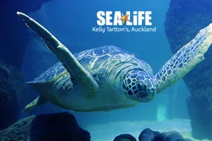 Nz Attraction Image