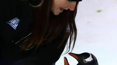 Kristen Profile