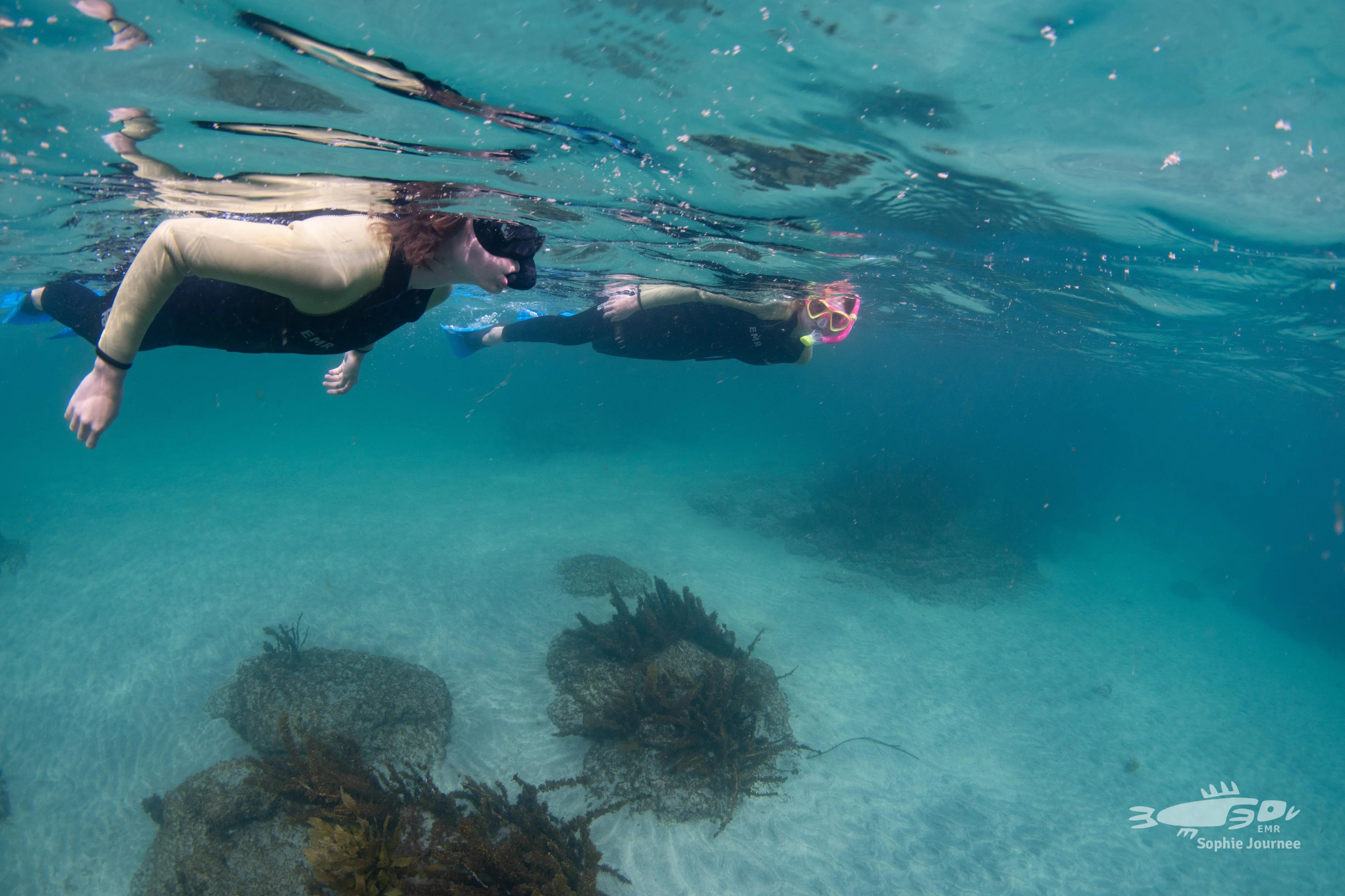 Ocean Youth EMR Snorkel Day 2022 3