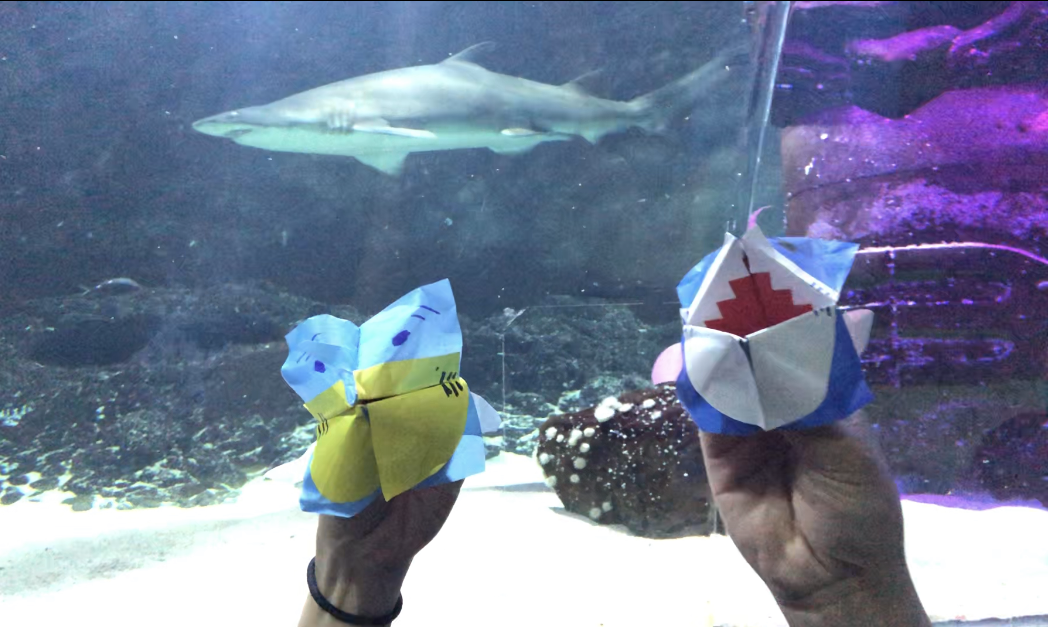 Shark Origami Pic