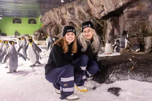 SLKT Penguin Passport 10036