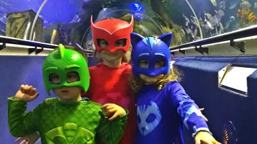 PJ Mask Free Entry Picture