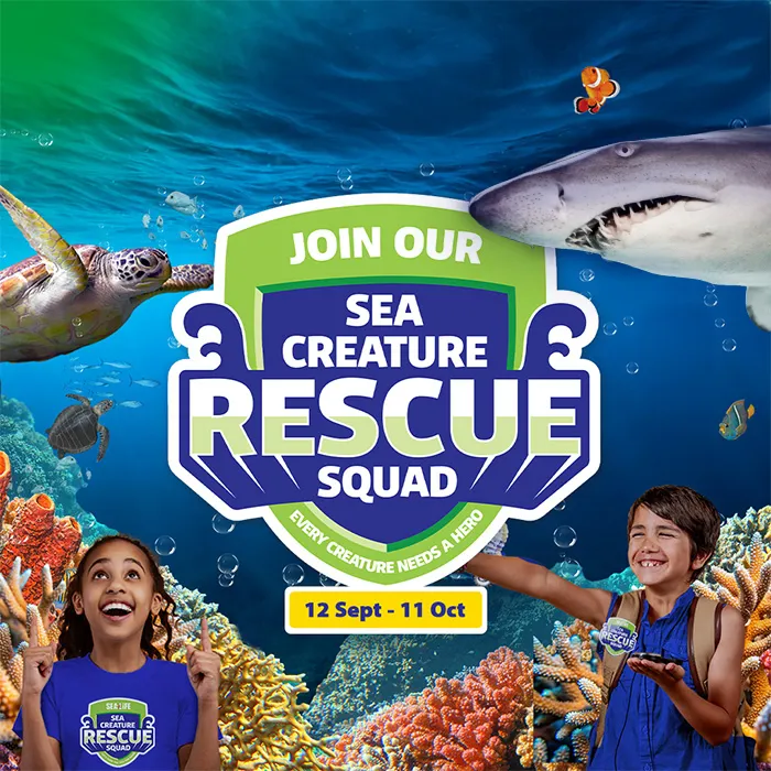 SLKT Rescuesquad KV Whatson 700X700